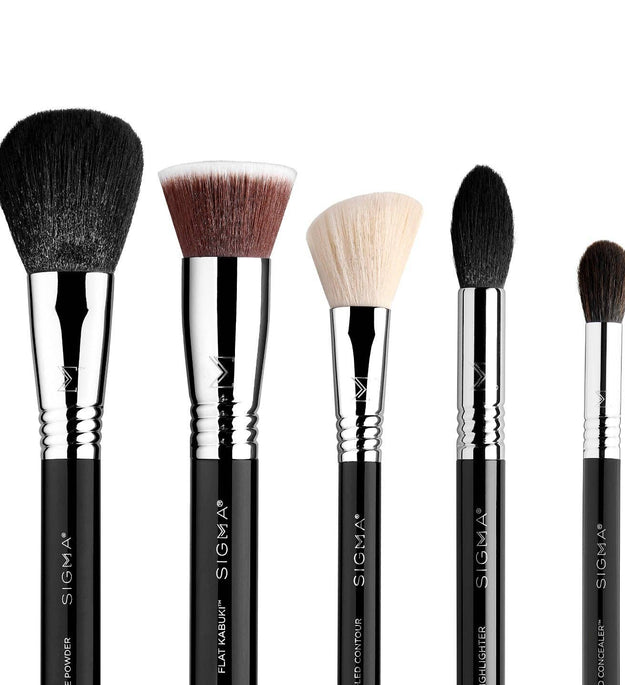 CLASSIC FACE BRUSH SET
